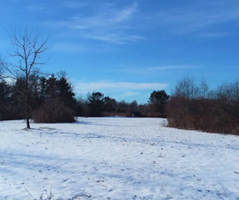 Lapeer County 10 acre hunting land