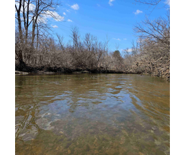 Michigan Properties For Sale