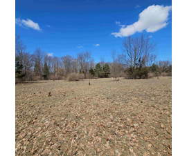 Michigan Properties For Sale