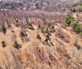 Michigan Properties For Sale