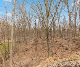 Michigan Properties For Sale