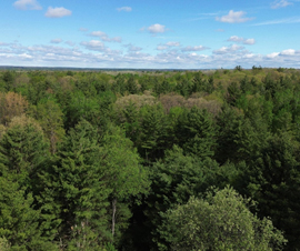 Michigan Properties For Sale