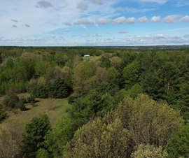 Michigan Properties For Sale
