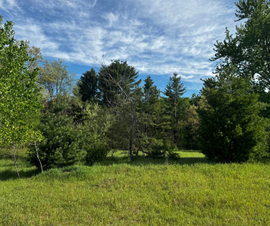 Michigan Properties For Sale