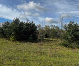 Michigan Properties For Sale
