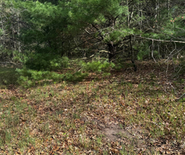 Michigan Properties For Sale