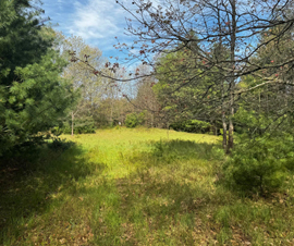 Michigan Properties For Sale