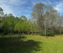 Michigan Properties For Sale
