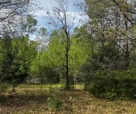 Michigan Properties For Sale