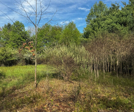 Michigan Properties For Sale