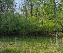 Michigan Properties For Sale