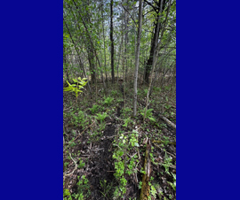Michigan Properties For Sale