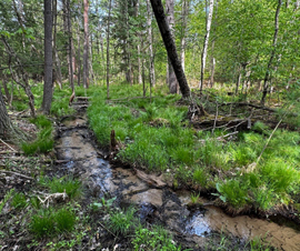 Michigan Properties For Sale