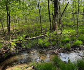 Michigan Properties For Sale