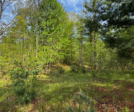 Michigan Properties For Sale