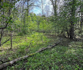 Michigan Properties For Sale