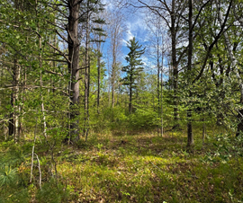 Michigan Properties For Sale