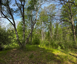 Michigan Properties For Sale