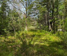 Michigan Properties For Sale