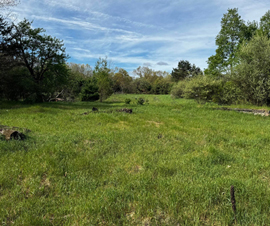 Michigan Properties For Sale