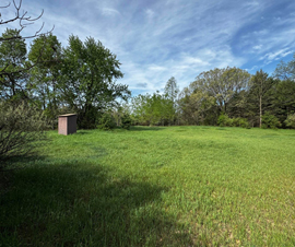 Michigan Properties For Sale