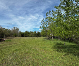 Michigan Properties For Sale