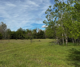Michigan Properties For Sale