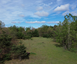 Michigan Properties For Sale