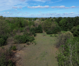 Michigan Properties For Sale