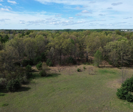 Michigan Properties For Sale