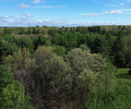 Michigan Properties For Sale