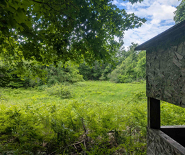 Michigan Properties For Sale