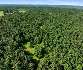Michigan Properties For Sale