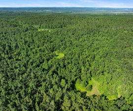 Michigan Properties For Sale