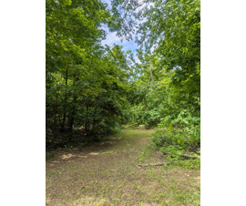 Michigan Properties For Sale