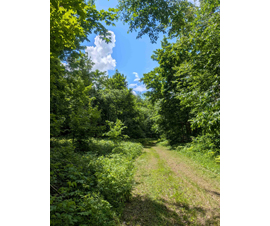 Michigan Properties For Sale