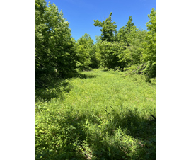 Michigan Properties For Sale