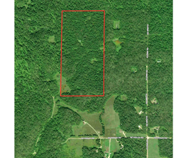 Michigan Properties For Sale