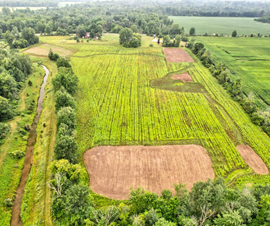 Michigan Properties For Sale