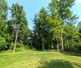 Michigan Properties For Sale