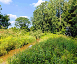 Michigan Properties For Sale