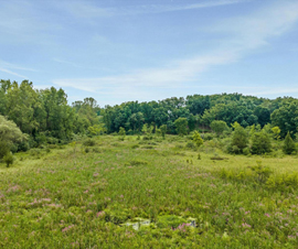 Michigan Properties For Sale
