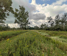 Tuscola County 60