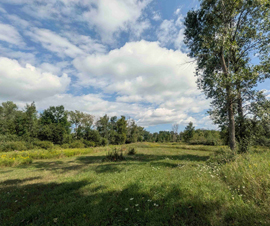 Michigan Properties For Sale