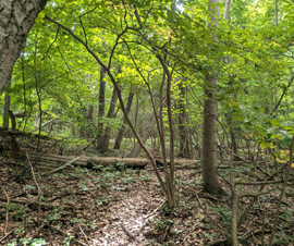 Michigan Properties For Sale