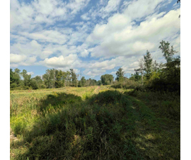 Michigan Properties For Sale