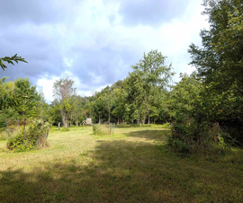 Michigan Properties For Sale