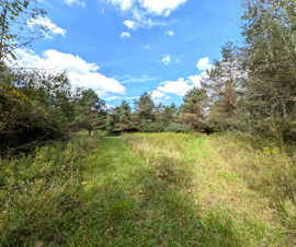 Michigan Properties For Sale