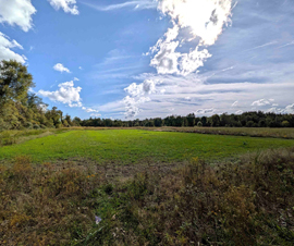 Michigan Properties For Sale