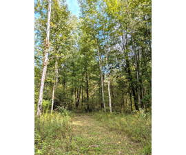 Michigan Properties For Sale